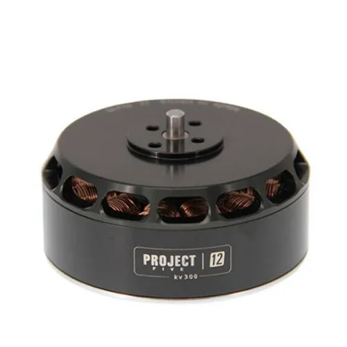 Engine Tarot 5012 300KV/TL50P12